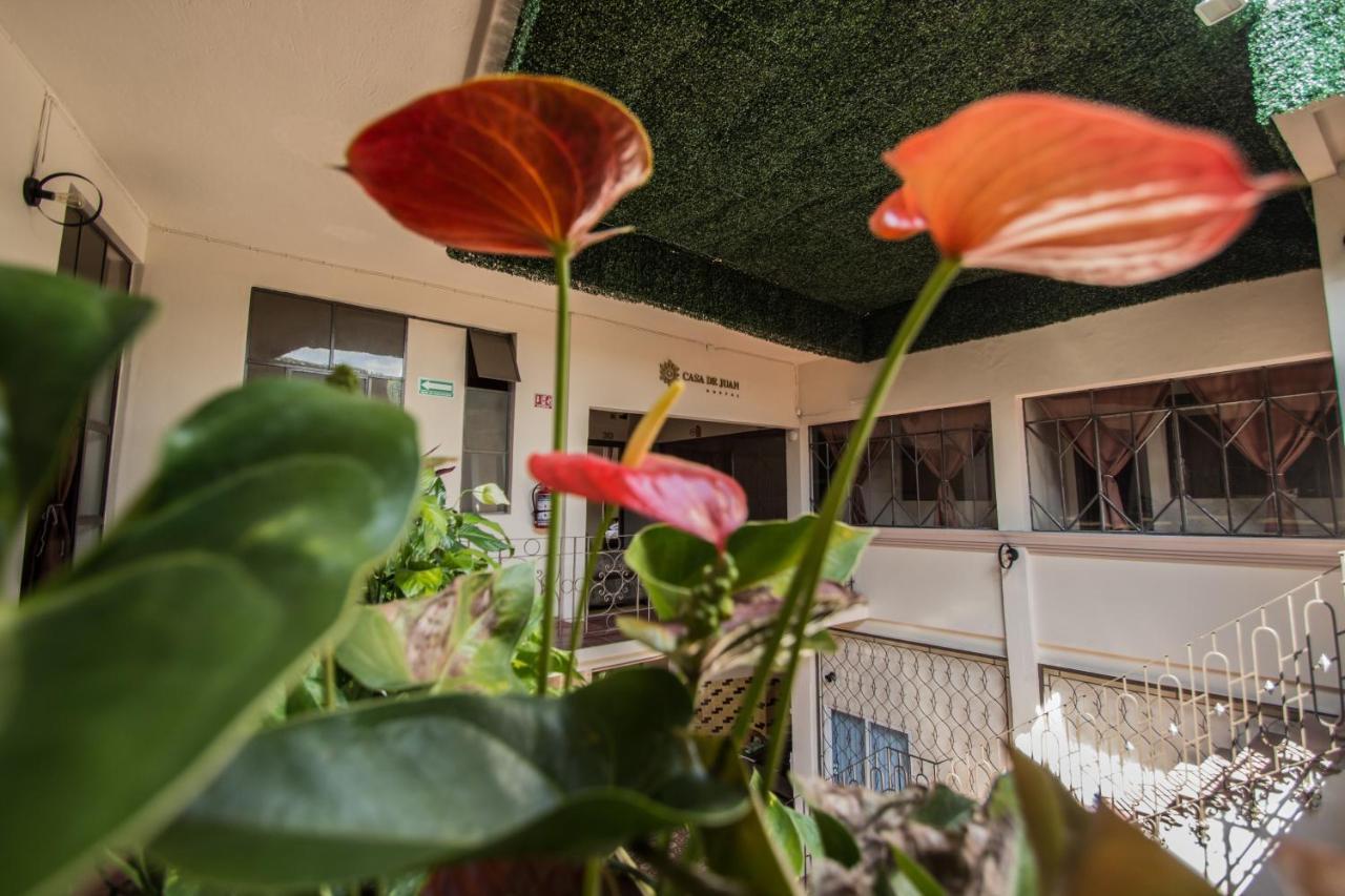 Casa De Juan Hostal Xalapa Bagian luar foto